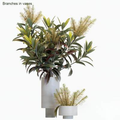 现代花瓶插花 植物花草 绿植